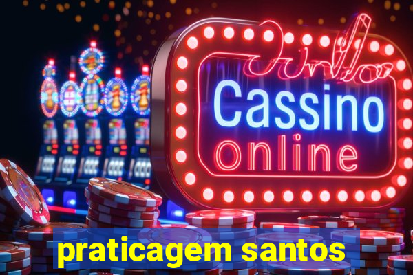 praticagem santos